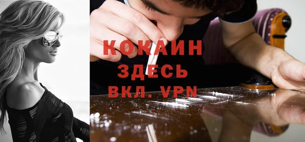 индика Вяземский