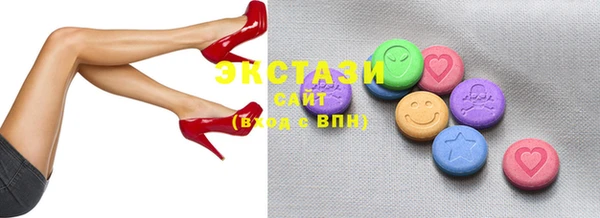 индика Вяземский