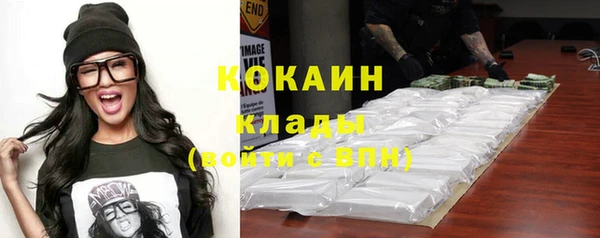 индика Вяземский