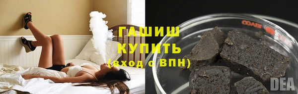 индика Вяземский