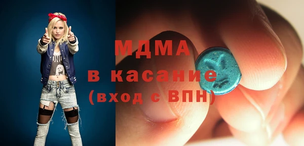 индика Вяземский