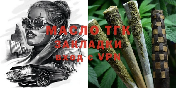 индика Вяземский