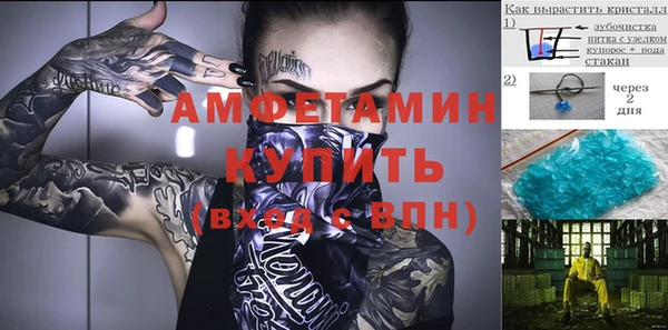 индика Вяземский