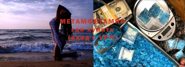 индика Вяземский