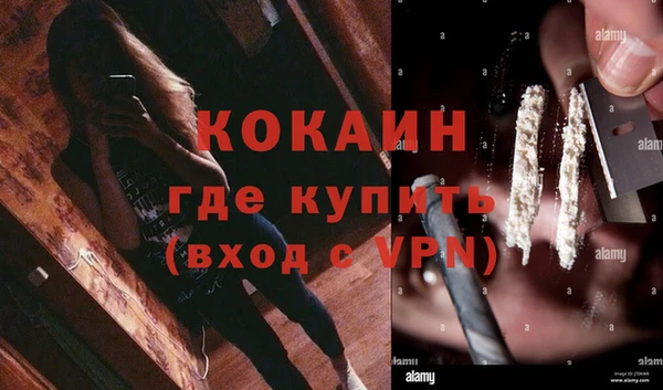 индика Вяземский