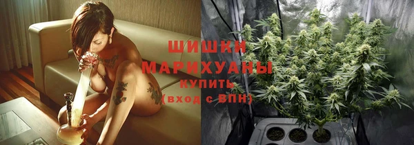 индика Горнозаводск
