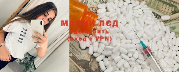 индика Вяземский